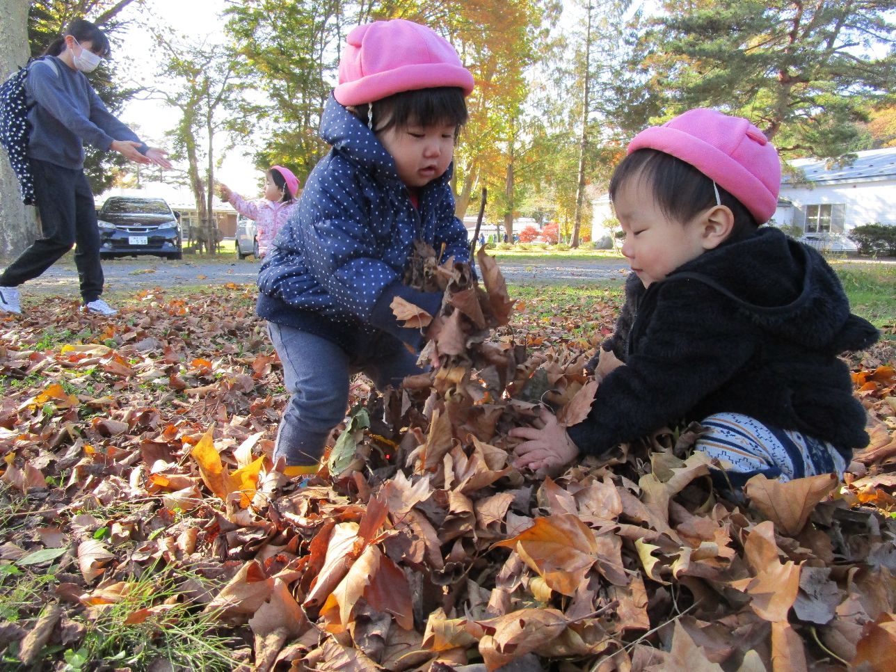 落ち葉あそび ０歳児 久慈幼稚園 News