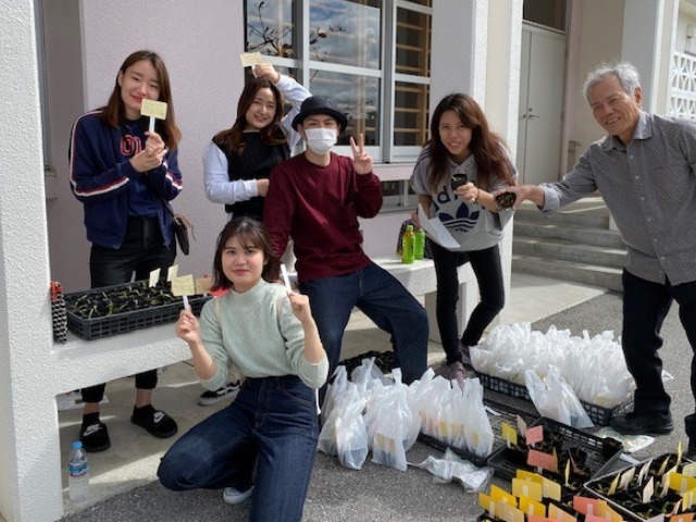 白ゆりの苗プレゼント 企画立案 沖縄女子短期大学 園芸サークル